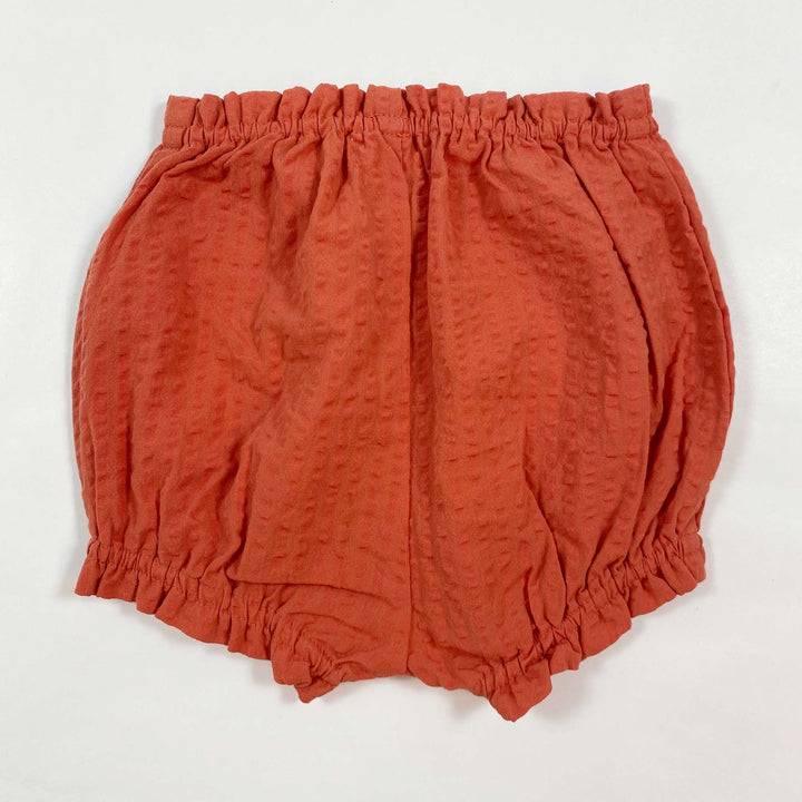 Serendipity Organics rust organic cotton bloomers Second Season diff. sizes 3