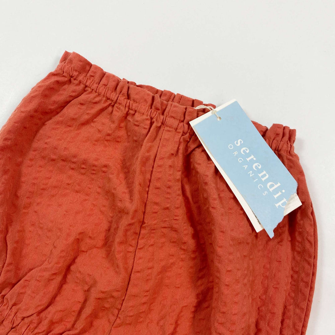 Serendipity Organics rust organic cotton bloomers Second Season diff. sizes 2