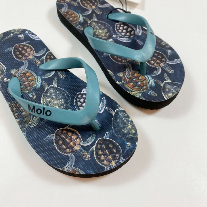 Molo Zeppo turtle flip flops Second Season 25-26 2