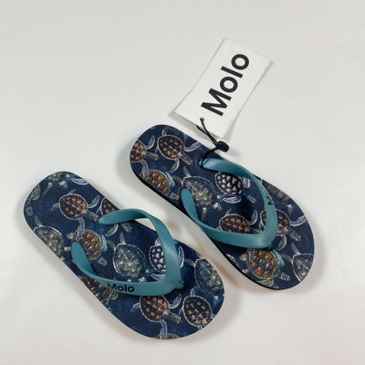 Molo Zeppo turtle flip flops Second Season 25-26 1