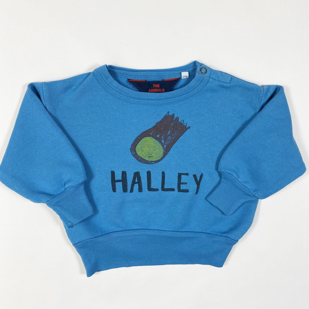 The Animals Observatory blue Halley print bear sweatshirt Second Season 6M