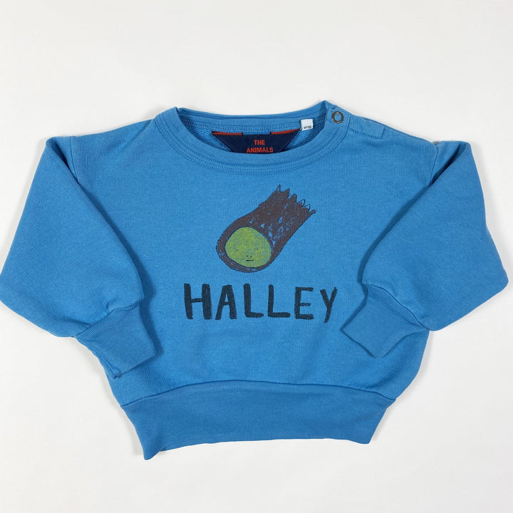 The Animals Observatory blue Halley print bear sweatshirt Second Season 6M