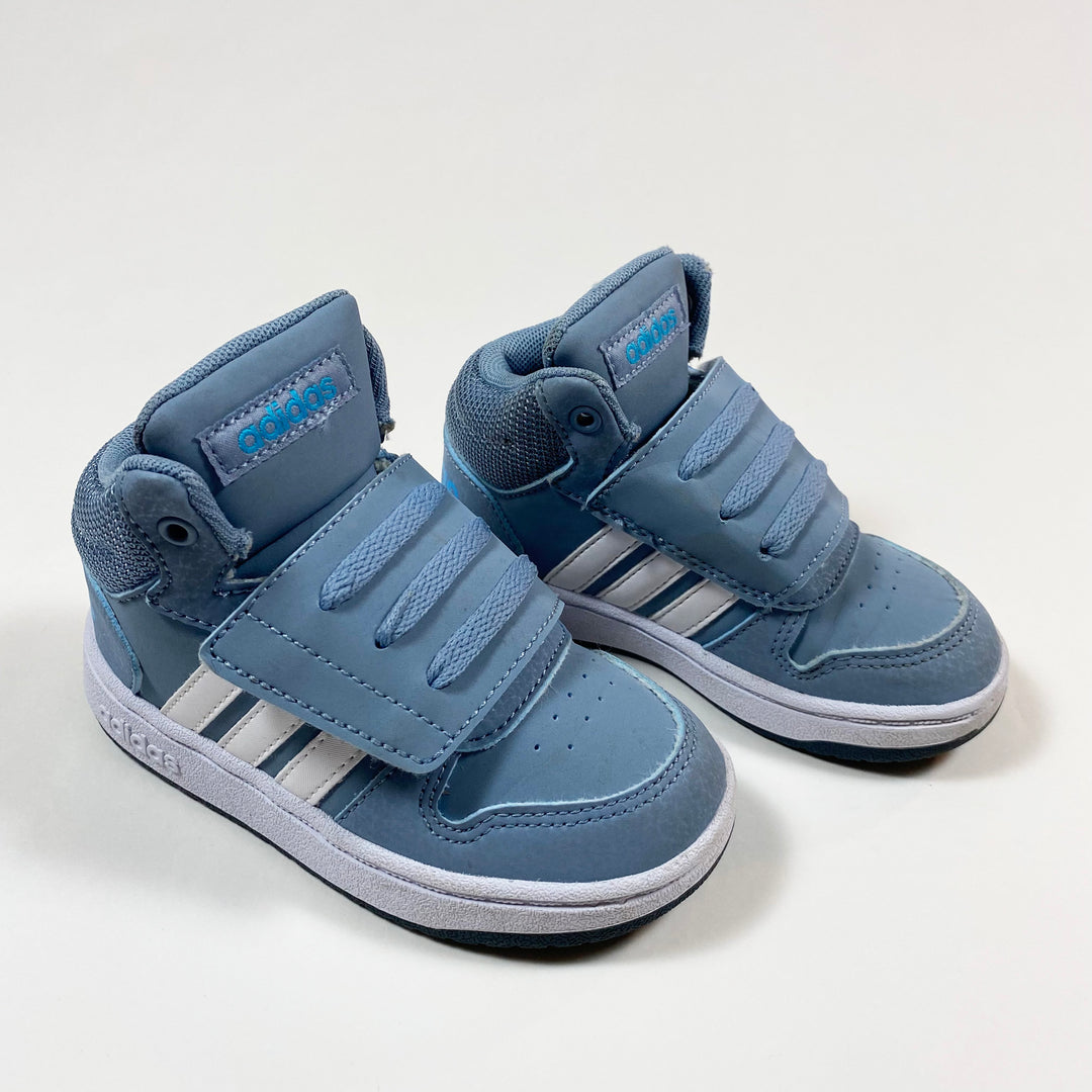 Adidas light blue Hoops basketball sneakers 24 1