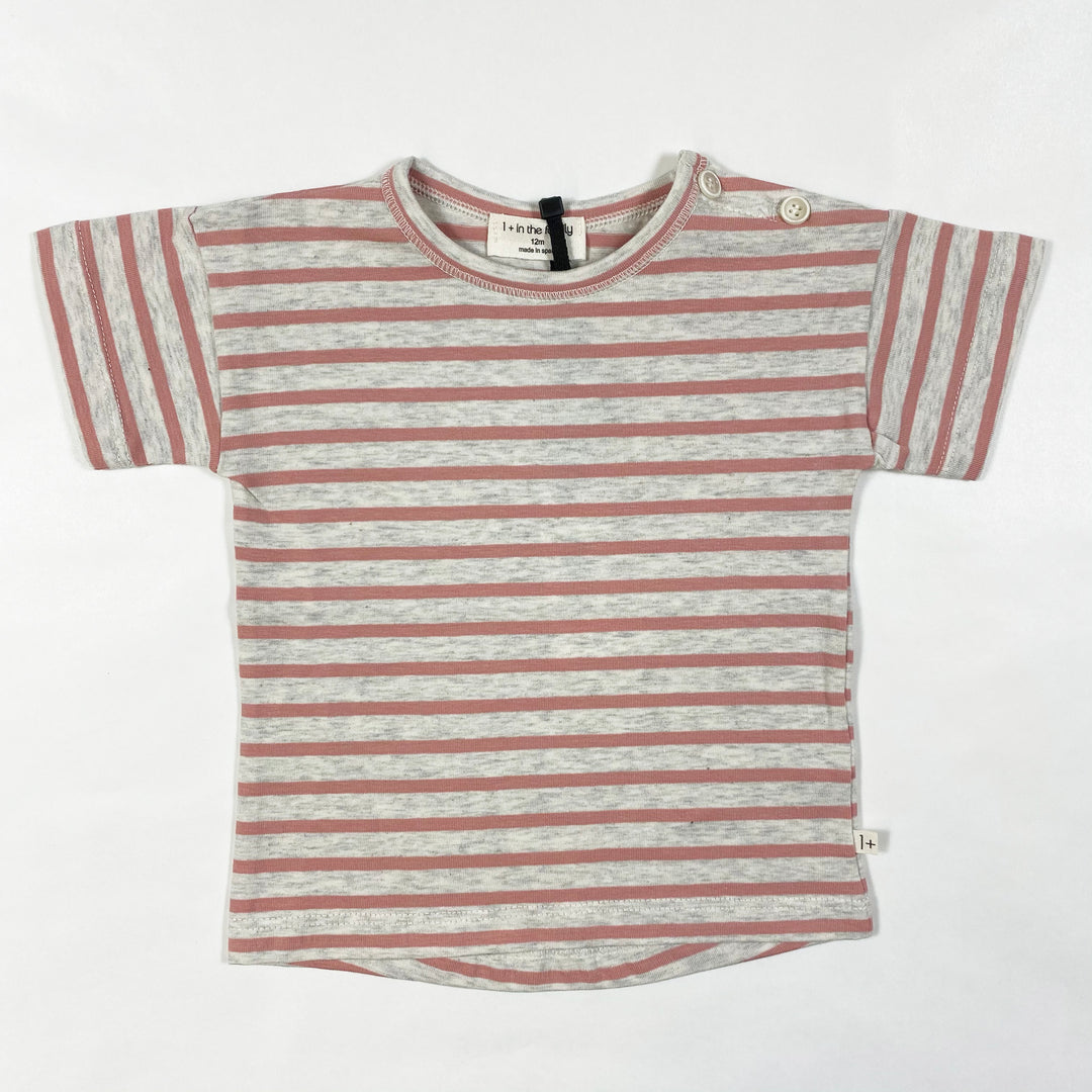 1+ in the Family vence rose striped t-shirt Second Season 12M