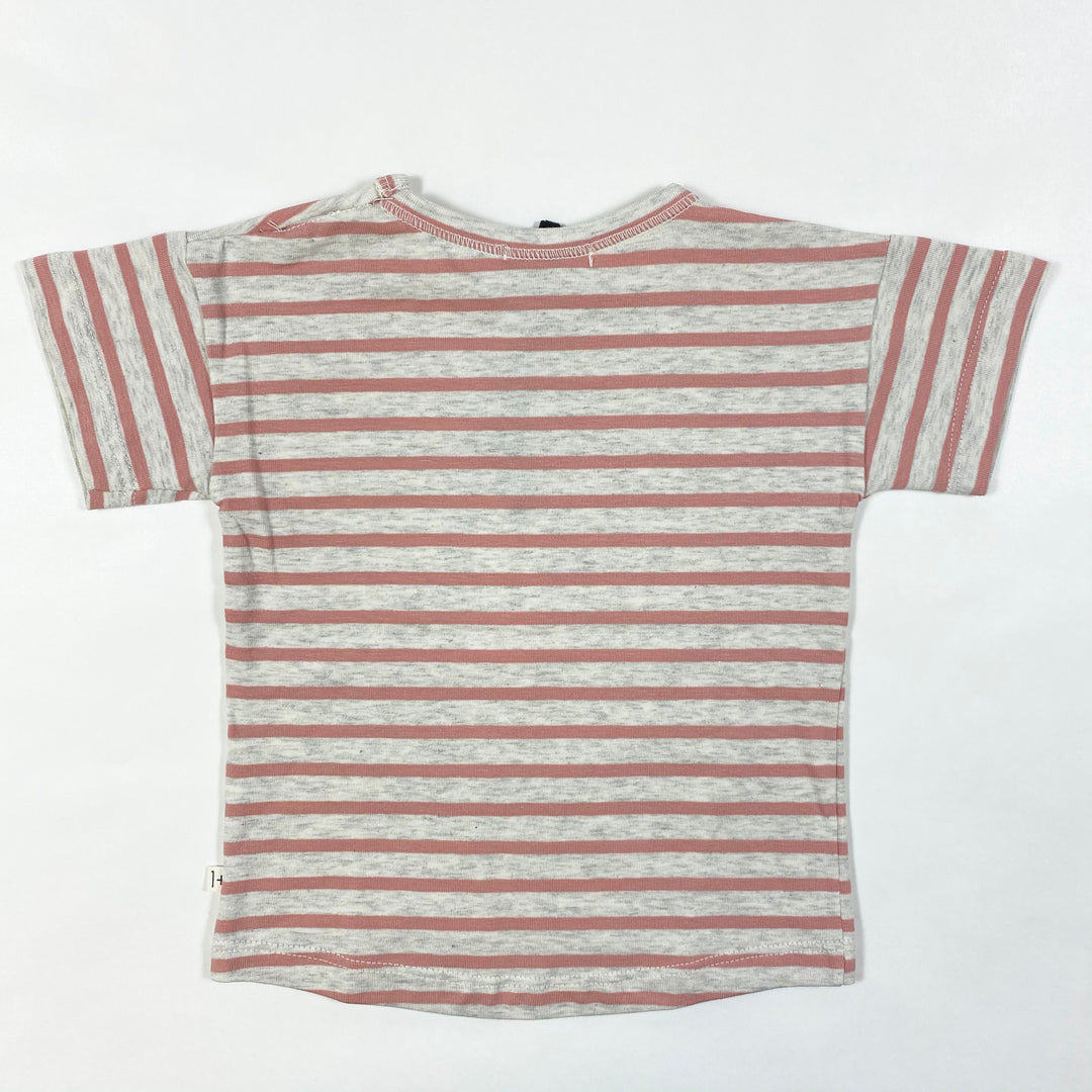 1+ in the Family vence rose striped t-shirt Second Season 12M