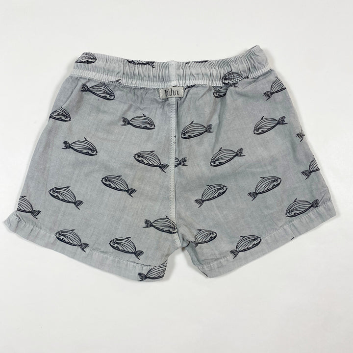 Búho grey fish swim shorts 18M 2
